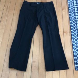 Black Dress Pants, bootcut